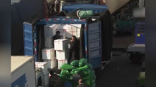 新發地市場春運首日探訪 日用雜品批發保障節日供應